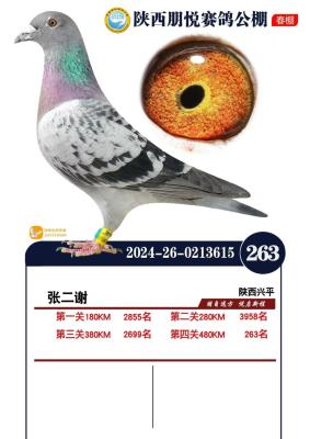 25������236��