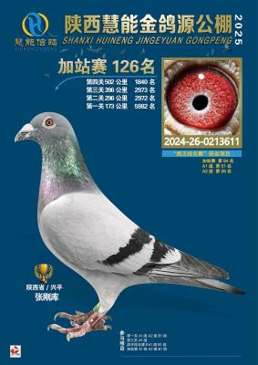 25����Դ����126��