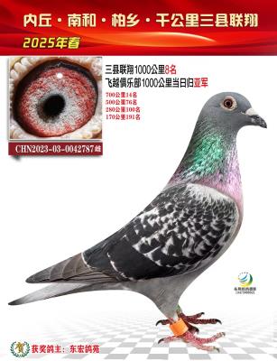 ǧ�����Ǿ�