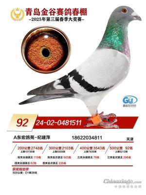 ��ȹ������92��