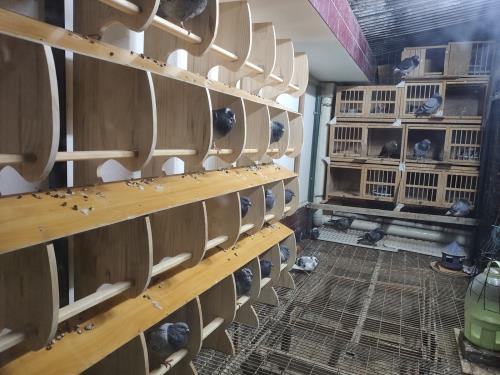 �Ǵ����ĺ�������