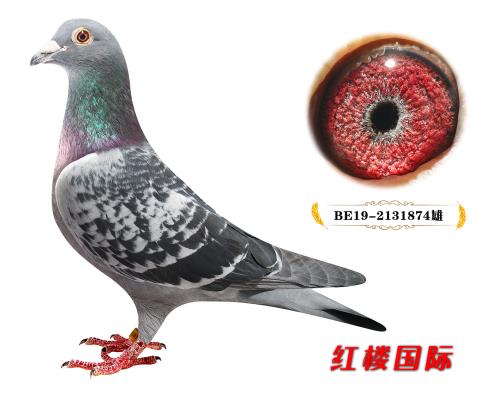 �¹���һ��