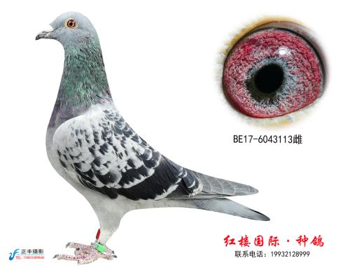 �ڲ��غ���ԭ��