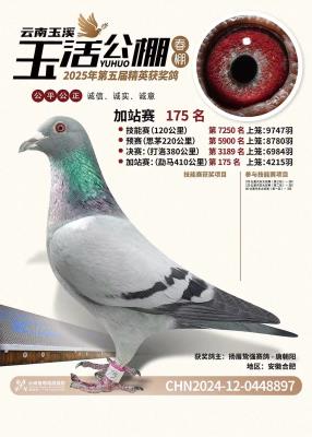 üǿ