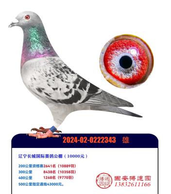 ���־��