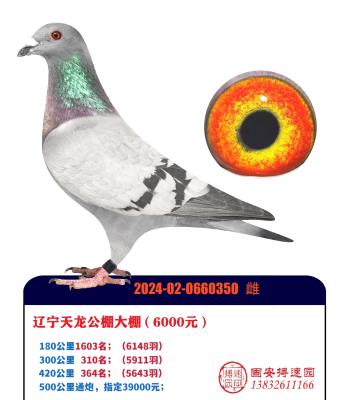 �������￵��ȫ