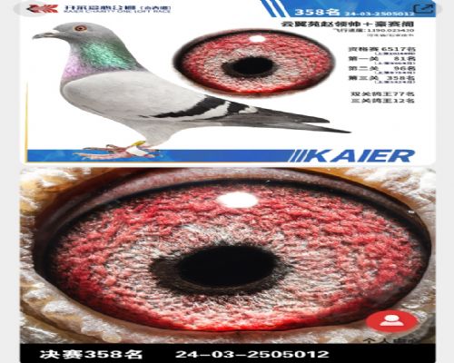 ��������12��