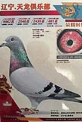 �����������ֲ�