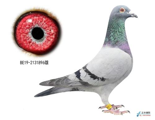 �¹���һ��