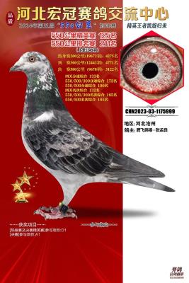 �����һֻ����