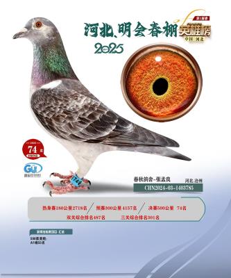 �������74��