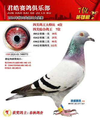 17���۹����Ĺظ���7��