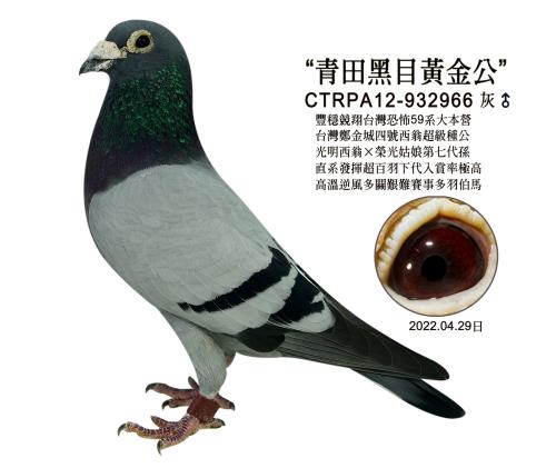 �����Ŀ��