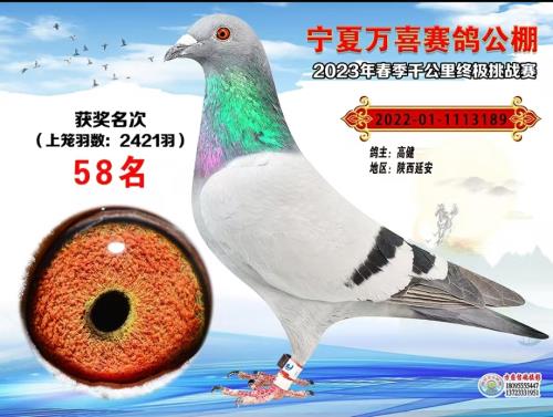 ��ϲ����