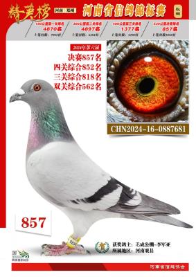 ����ɼ���