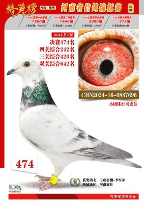 ����ɼ���