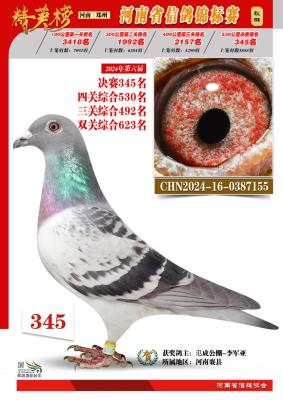 ����ɼ���