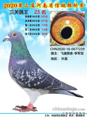 ����ɼ���