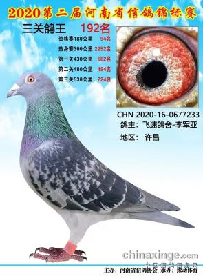 ����ɼ���