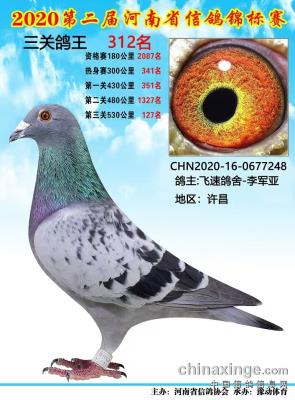 ����ɼ���