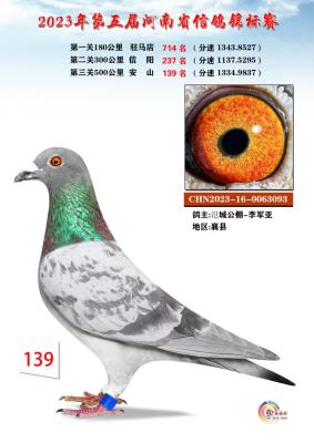 ����ɼ���