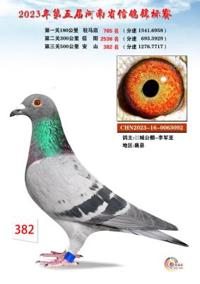 ����ɼ���