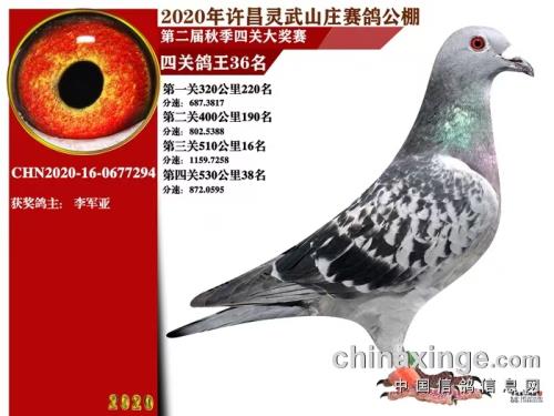 ����ɼ���