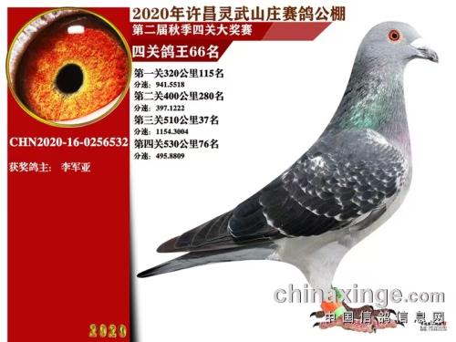 ����ɼ���