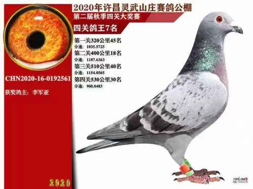 ����ɼ���