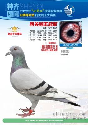 2022��ɽ������������ֲ���Ƭ