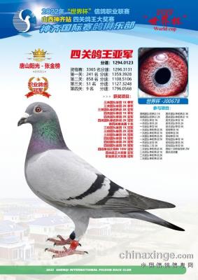 2022��ɽ������������ֲ���Ƭ