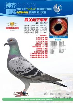 2022��ɽ������������ֲ���Ƭ