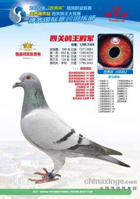 2022��ɽ������������ֲ���Ƭ