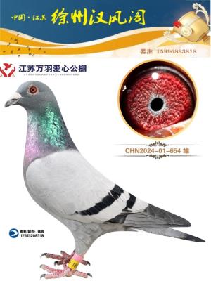 24���������654��