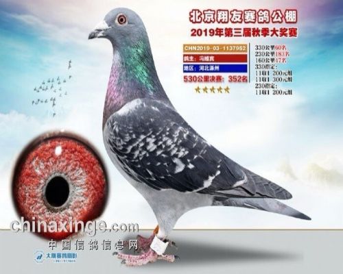 Դͷ���ۡ�352��