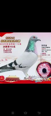 ����153������֮��