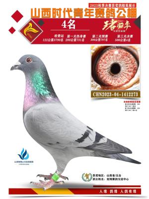 ʱ����������