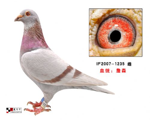 ����Ӱ�ӳǹ���񽱸�