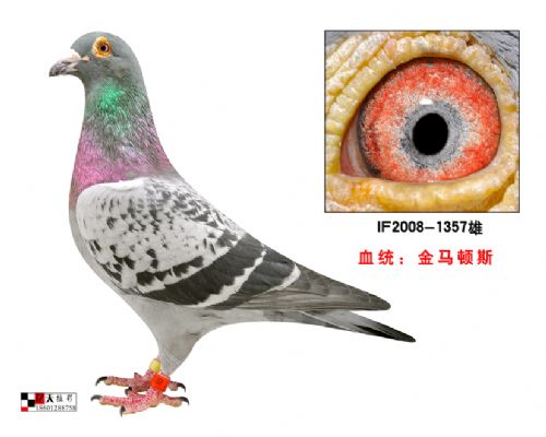 ����ԭ��