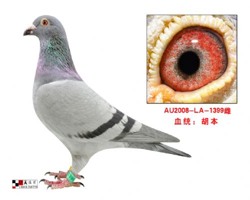 ����ԭ��