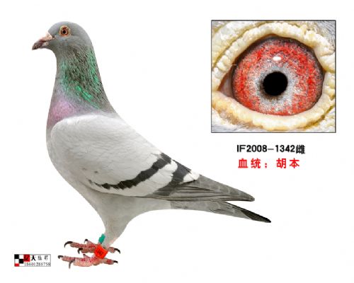 ����ԭ��