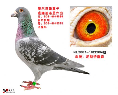 �����ϲ���ԭ��