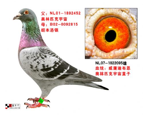 �����ϲ���ԭ��