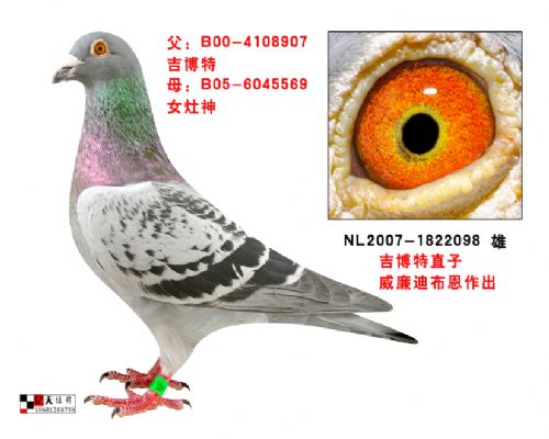 �����ϲ���ԭ��