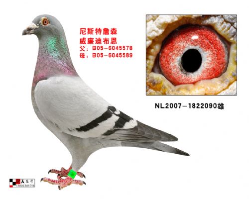 �����ϲ���ԭ��