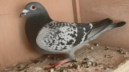 2022-05-0022351��