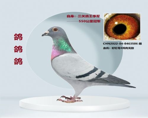 �ú��X�����޵�