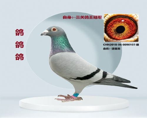 �ٰ���X����