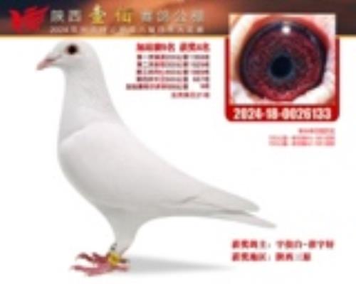 Ҽ�۹���4��