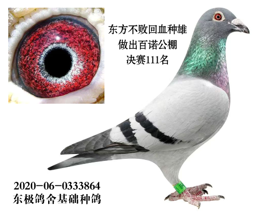 �������ܻ�Ѫ